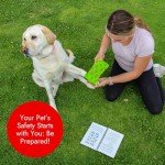 Essential First Aid Guide for Dogs and Cats