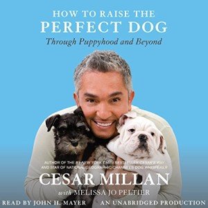 Perfect Puppy Guide: Raising Your Dog Right