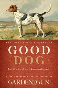 Heartwarming Tales of Dogs and Cats Love