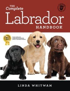 Labrador Handbook for New and Future Owners