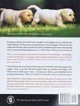 Labrador Handbook for New and Future Owners