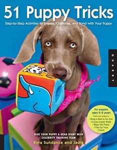 51 Fun Puppy Tricks to Bond and Play