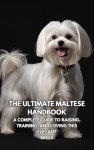 Maltese Care Guide: Training and Loving Your Dog