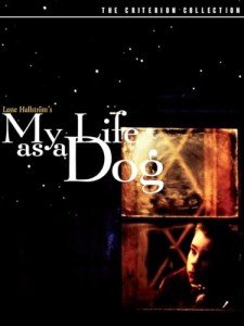 Life as a Dog: English Subtitled Edition