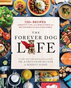 Healthy Recipes and Tips for Dogs and Cats
