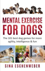101 Fun Games to Boost Your Dog's Agility