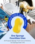 Large All-Purpose Car Wash Sponge Kit - 3pcs