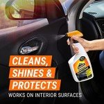 Armor All Original Protectant Car Interior Cleaner 32 Oz
