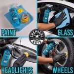 Chemical Guys Clay Bar and Lubricant Kit