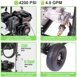 4200PSI Gas Pressure Washer with 5 Tips & Hose