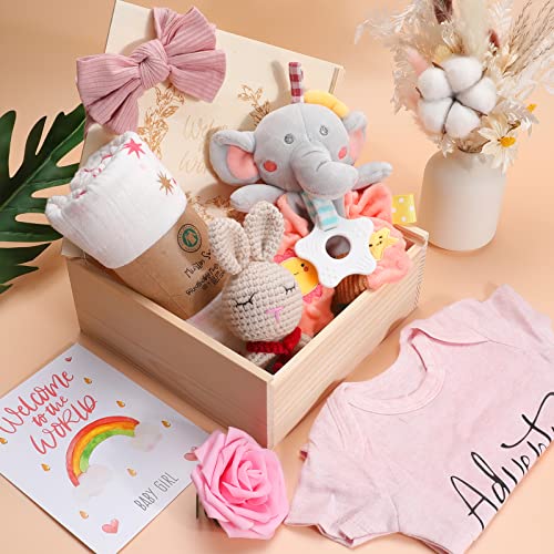 Adorable Baby Girl Gift Basket for Newborns