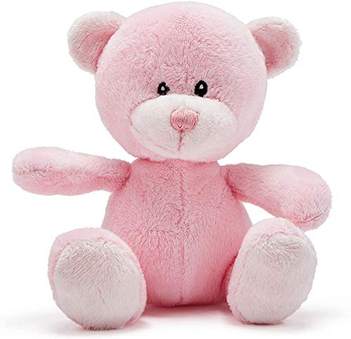 Newborn Baby Girl Gift Basket with Teddy Bear