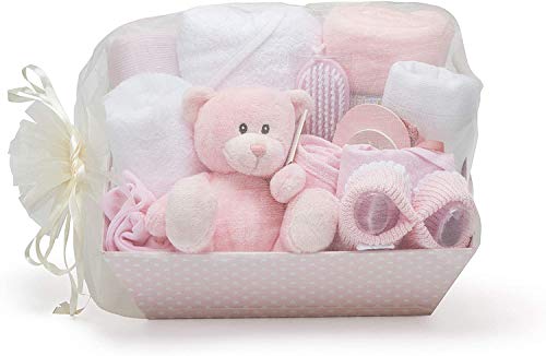 Newborn Baby Girl Gift Basket with Teddy Bear
