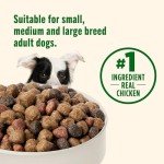 Rachael Ray Nutrish Dog Food - Chicken & Veggie