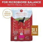 Purina ONE Chicken & Rice Dry Dog Food 31.1 lb