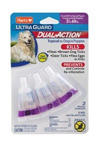 Large Dog Flea & Tick Prevention, 3 Months