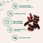 Antarctic Krill Oil Supplement, 2000mg, 240 Softgels