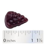 Sambucus Elderberry Immune Gummies for Daily Support