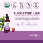 MaryRuth Organics Sugar-Free Elderberry Syrup 1 Fl Oz
