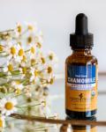 Organic Chamomile Liquid Extract for Calm Support