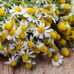 Earthborn Elements Chamomile Extract 200 Capsules