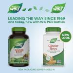 Ginger Root Capsules 550 mg for Digestive Comfort