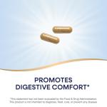 Ginger Root Capsules 550 mg for Digestive Comfort