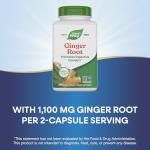 Ginger Root Capsules 550 mg for Digestive Comfort