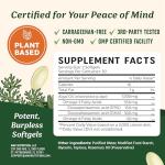 Vegan Omega 3 Algae Oil Supplement - 60 Softgels