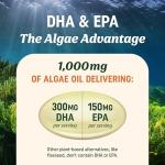 Vegan Omega 3 Algae Oil Supplement - 60 Softgels
