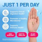 Dr. Berg Probiotic - 30 Digestive Health Capsules