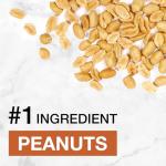 KIND Protein MAX Chocolate Peanut Butter Bars