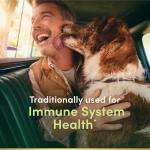 Nature's Bounty Echinacea 400mg Immune Support Capsules