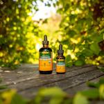 Organic Alcohol-Free Echinacea Root Extract - Immune Support