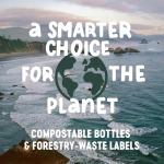 Vegan Omega 3 DHA Algae Oil for Heart & Brain