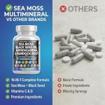 Clean Nutraceuticals Sea Moss & Herbal Supplement Blend