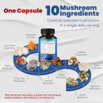 10-in-1 Mushroom Supplement for Focus & Memory