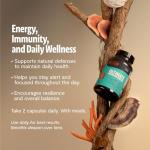 FreshCap Ultimate Mushroom Supplement - 12,000mg Capsules