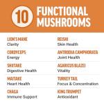 Force Factor Modern Mushrooms Capsules for Energy & Focus