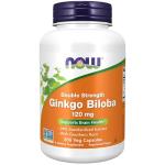 NOW Ginkgo Biloba 120 mg Double Strength Veg Capsules