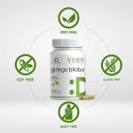 Ginkgo Biloba 500mg, 240 Capsules – Brain Support