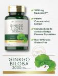 Carlyle Ginkgo Biloba Herbal Supplement - 400 Tablets