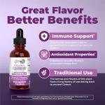 MaryRuth Organics Sugar-Free Elderberry Syrup 1 Fl Oz