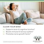 Organic Lion's Mane Mushroom Capsules for Brain Health