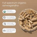 Organic Ashwagandha 2,100 mg - Stress Relief Capsules