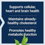 Life Extension Decaf Mega Green Tea Extract 100 Caps