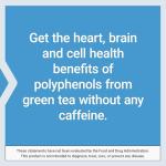 Life Extension Decaf Mega Green Tea Extract 100 Caps