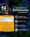 Organic Alcohol-Free Echinacea Root Extract - Immune Support