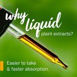 Organic Alcohol-Free Echinacea Root Extract - Immune Support