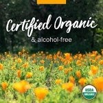 Organic Alcohol-Free Echinacea Root Extract - Immune Support